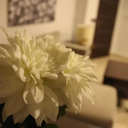 Apartman Cano Córdoba